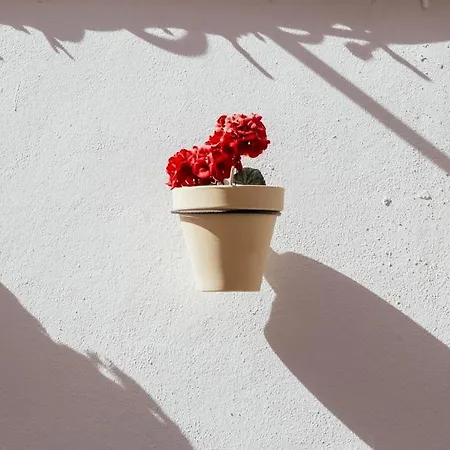 Cetina Casa De Aguilar Hotel 2*