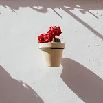 Cetina Casa De Aguilar Ξενοδοχείο 2*